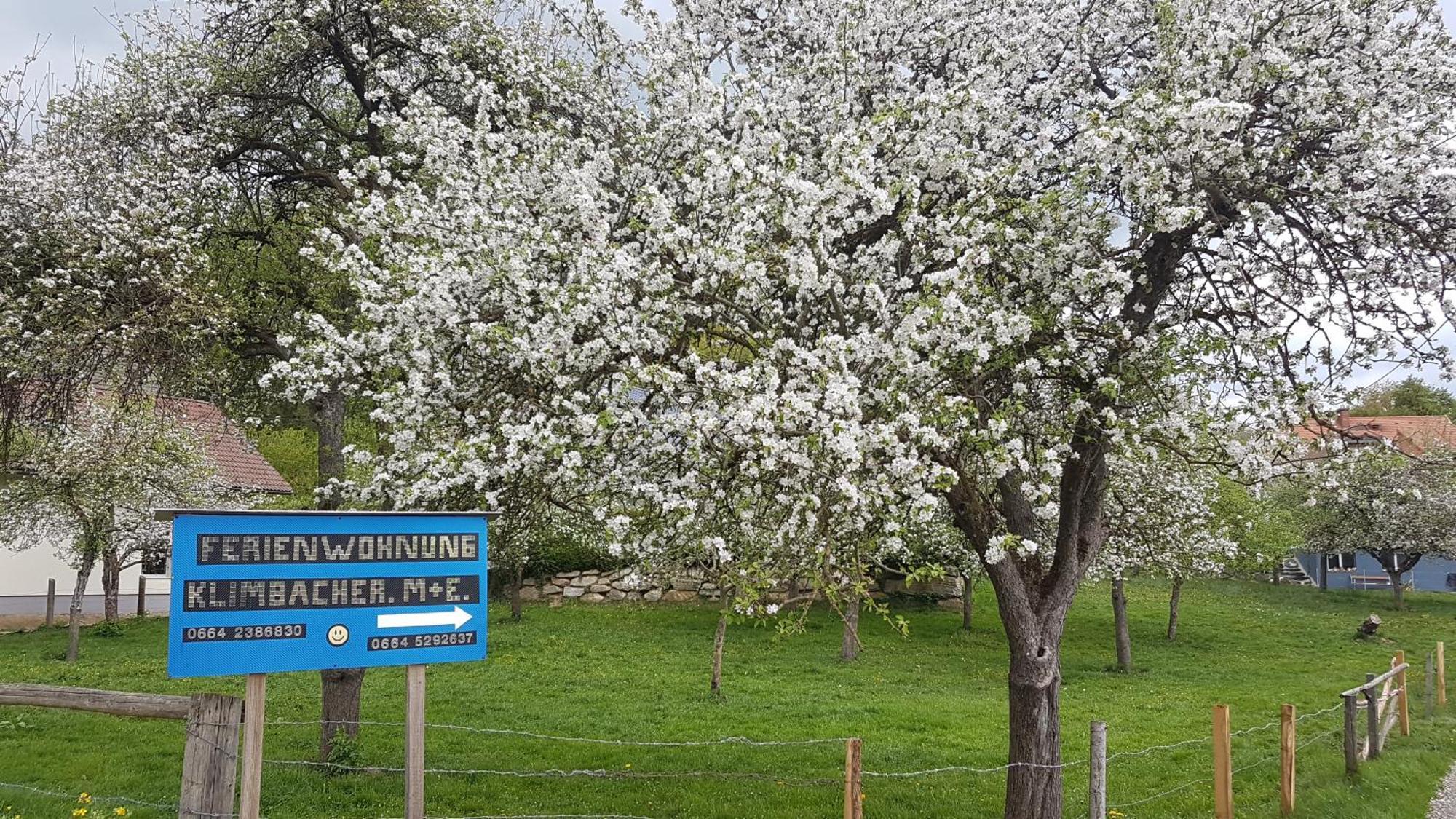 וולפסברג Ferienwohnungen Klimbacher חדר תמונה